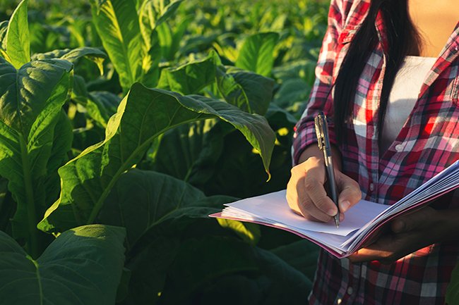 Agriculture & Forestry