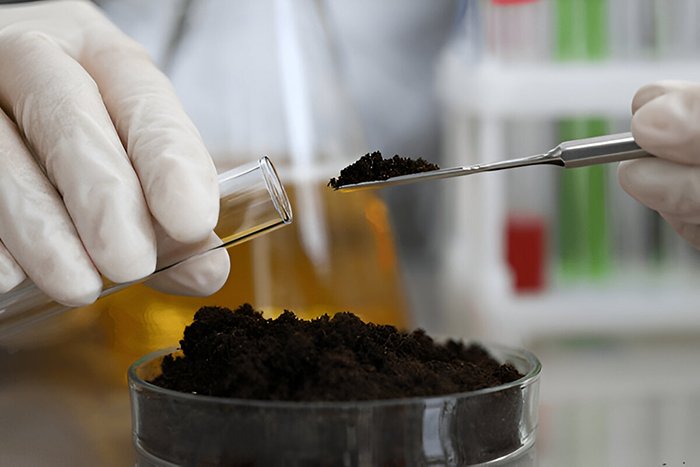 Soil Quality Analysis