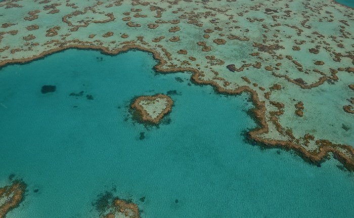 Marine Environment Mapping (Seabed and Benthic)