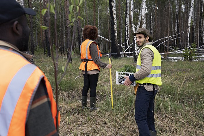 Magnetometer Survey