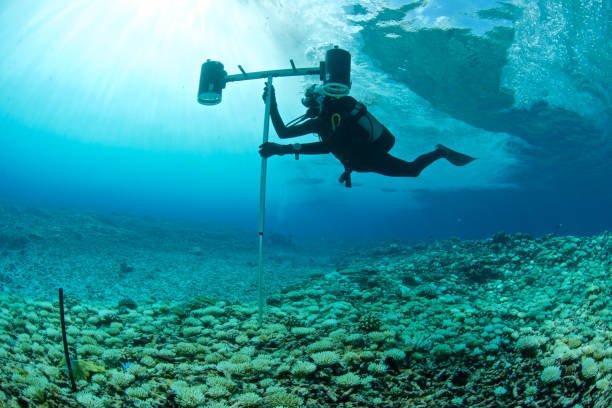 underwater_positioning_details