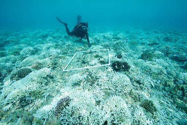 underwater_inspection